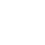 icon details